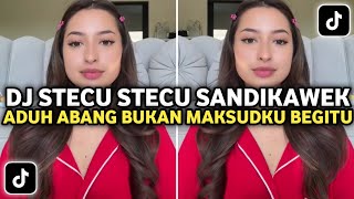 Download lagu DJ Stecu Stecu Sandikawek | DJ Aduh Abang Bukan Maksudku Begitu Breakbeat Viral TikTok 2025 mp3