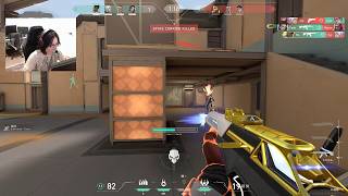 florescent Phoenix Fracture AGGRESSIVE DUELIST