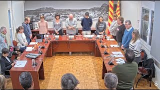 Ple ordinari de 27 de novembre de 2025