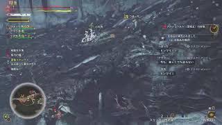 復帰久々ワイルズ　マジオス周回？