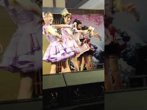Cat Slave - Castella [Vasa Fancam] @ Japan Carnival (22/05/2022)