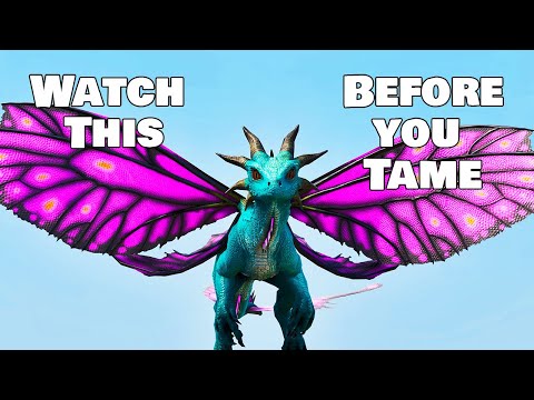 How To PERFECT Tame a Drakeling - Ark Survival Ascended