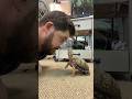 Interactions With The World S Most Personable Turtle Turtle Tortoise Gardenstatetortoise