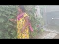Bulti Bangla Vlog আমার চাষের কিছু টাটকা সবজি আমা�