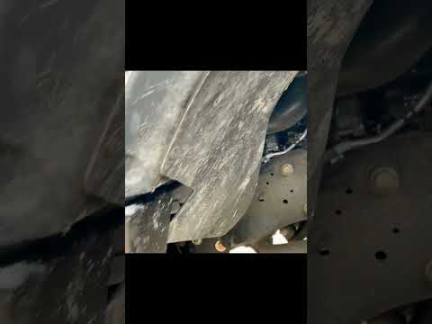 Dodge Bumper by Body Guard Bumpers Made for DBL