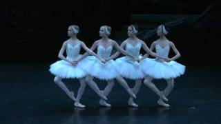 NBS&#39; Spring Showcase, Cygnets from Swan Lake