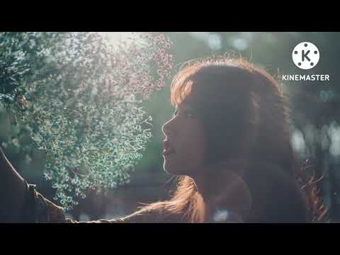 Dại khờ - Nguyễn Quang