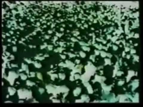 Jean Michel Jarre Equinoxe 7 La Concorde 14/07/79