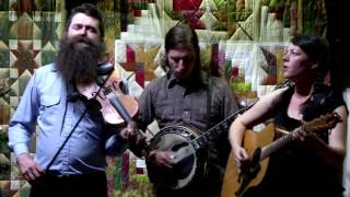 Corn Potato String Band: Who's Gonna Shoe Your Pretty Little Feet @ The Red Room