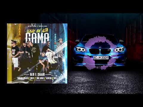 LLEGO EN ALTA GAMA (BASS BOOSTED) - BALBI EL CHAMAKO - FOREST -  KINGSAVAGGE - SHELO Y MAS