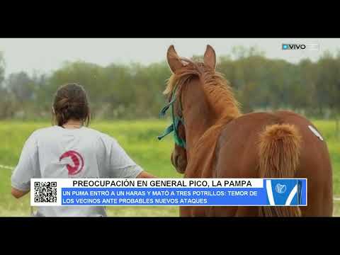 PREOCUPACIÓN EN GENERAL PICO, LA PAMPA