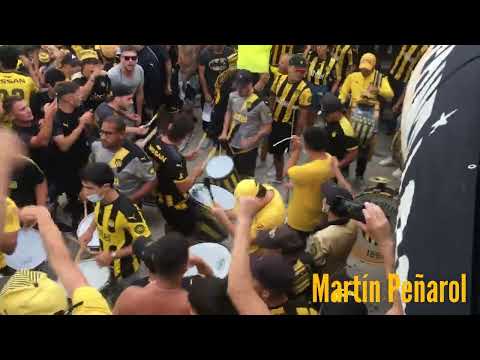 "Entrada de la Percusión - Hinchada De Peñarol (vs naciomal) Clásico de Verano" Barra: Barra Amsterdam &bull; Club: Peñarol