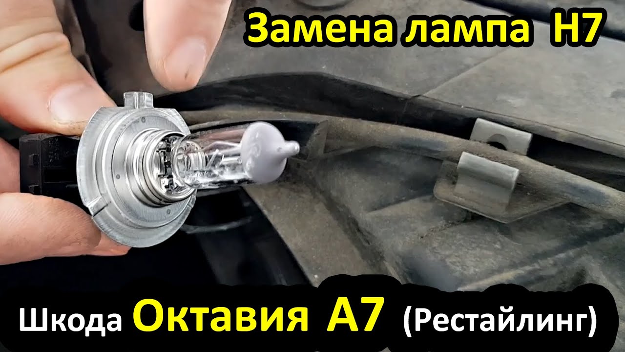 Замена лампочки ближнего света Škoda Octavia А7: подробная инструкция