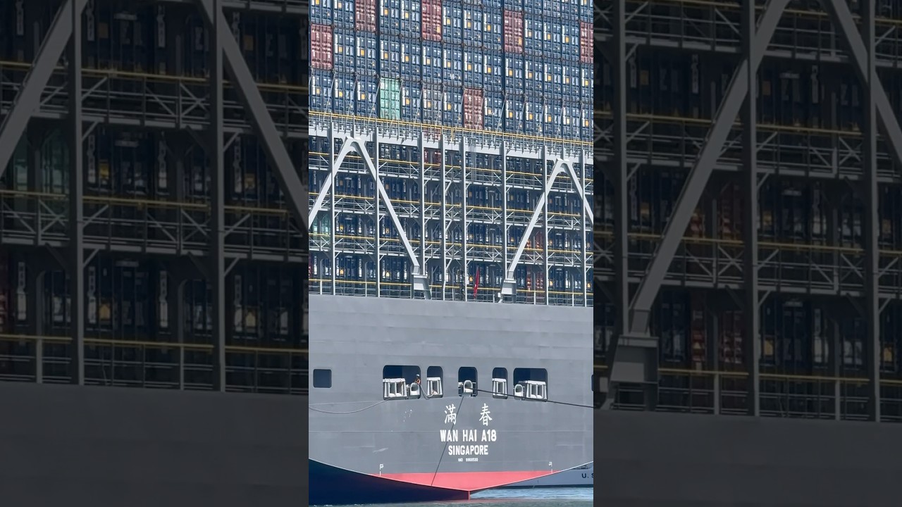 Built 2025 WAN HAI A18