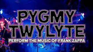 Pygmy Twylyte (Frank Zappa Tribute, Scotland) - Black Napkins