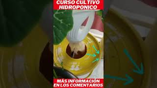 como hacer un sistema hidroponico casero como hacer un sistema hidropnico casero #shorts