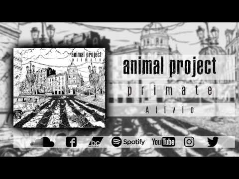 animal project - alivio