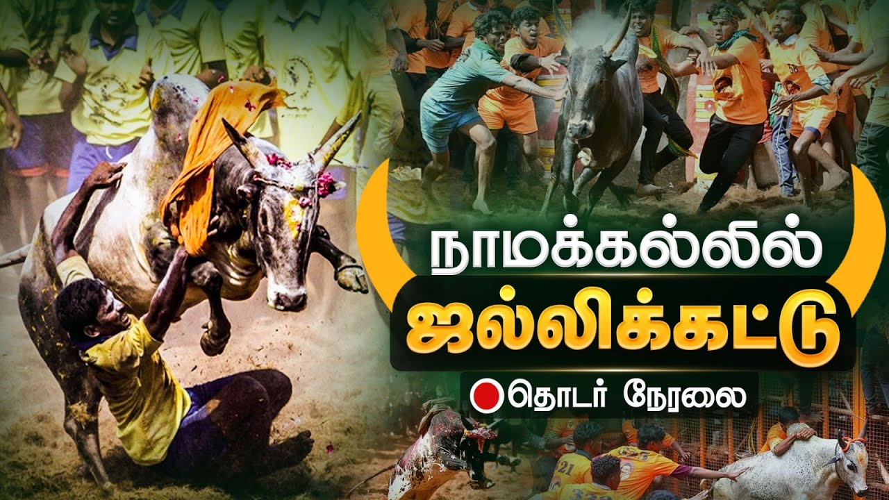 🔴Live:  நாமக்கல்லில் ஜல்லிக்கட்டுத் திருவிழா | Kumudam News