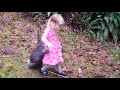 Pet Porcupine Holds onto Little Girl While Walking - 1016251