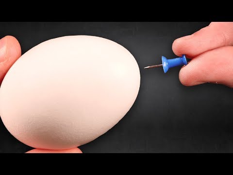 INSANE EGG EXPERIMENTS