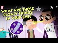 What Are Those Floaty Things In Your Eye? | Eye Floaters | The Dr Binocs Show | Peekaboo Kidz