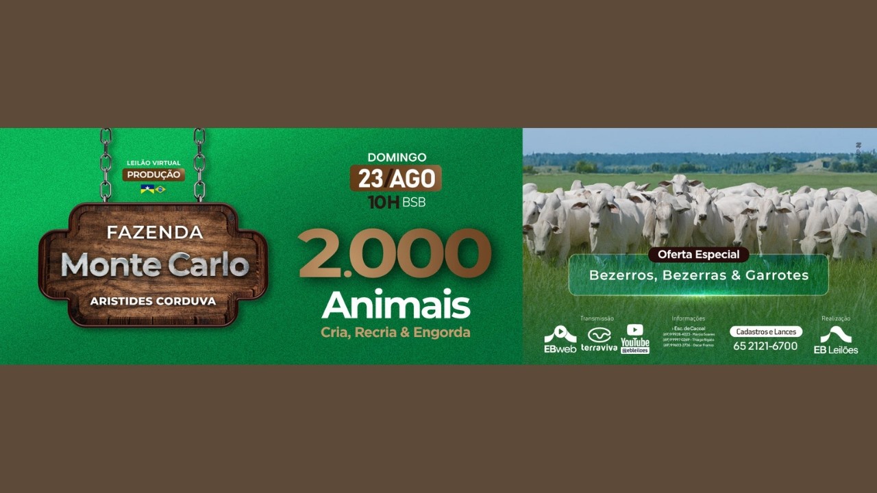 LEILÃO VIRTUAL PRODUÇÃO FAZENDA MONTE CARLO | 23/08/2026 – 10H