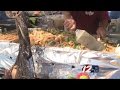 Charlestown Seafood Festival Kicks Off