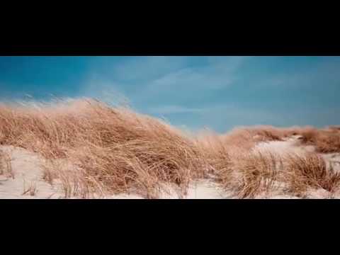 Hamayoun Angar nice song