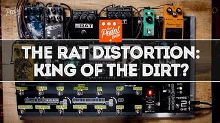 Video thumbnail for The ProCo RAT Distortion & RAT-Alikes: King Of The Dirt Pedals? That Pedal Show by That Pedal Show