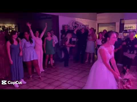 Heiraten im Seeblick - Eindrücke von unseren Gästen-