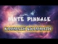 Ninte Pinnale Song KAMMATH KAMMATH Full Music Lyrics Youtube Trending Musiclyrics