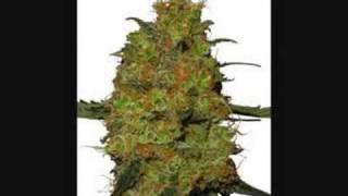 Bone Thugs N Harmony - Blaze it