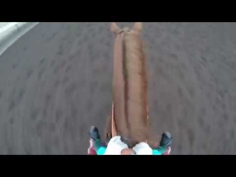 Feel what it's like to ride Kentucky Derby champ California Chrome