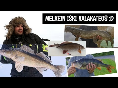 SEURAAJIEN SAALIIT - TE OOTTE KALAMIEHIÄ!!!