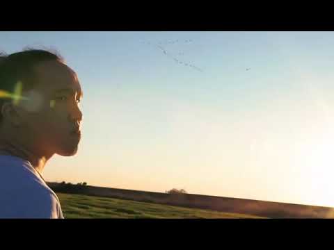 เพลงม้งเพราะๆ-David Yang-lb xyoo Dhau lb xyoo (official Music video)