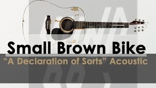 Small Brown Bike - acoustic version of &quot;A Declaration of Sorts&quot; - WIDR 2009