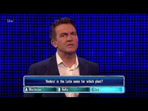 Jimmy Gets His Hedera Question Right | The Chase