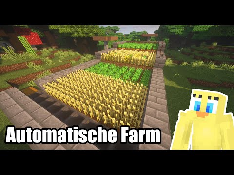 Minecraft: Automatische Weizenfarm bauen (Tutorial 1.19)