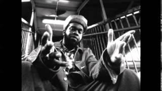 JERU THE DAMAJA   99 9%