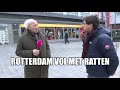 Rotterdam vol met ratten: ‘We zijn bang!’