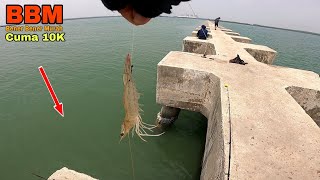 Download lagu Crazy Cheap! Only 10,000 Rupiah for Unlimited Snapper Fishing, Only Here || Dam Ijo PLTU mp3