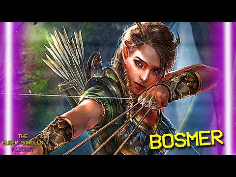 Best Archers in Tamriel, the Wood Elves of Valenwood | The Elder Scrolls Podcast #35