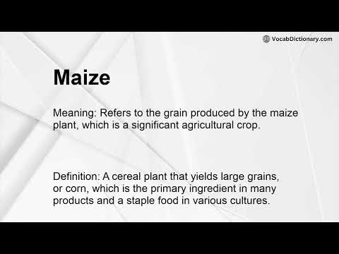 Maize Meaning