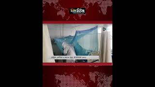 ডেঙ্গুতে প্রা/ণ গেলো আরও ৪ জনের | Dengue | Deepto News