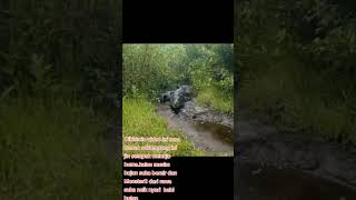 Download lagu MERINDING !! TERNYATA INI SUARA ASLI BUAYA KALAU DARI DEKAT !!! mp3