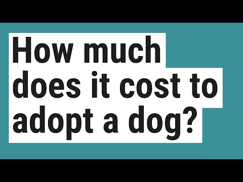How much does it cost to adopt a dog?