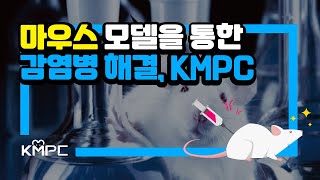 마우스 모델을 통한 감염병(코로나19, COVID19) 해결