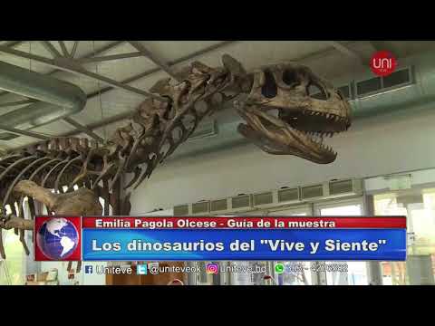 Los dinosaurios del Vive y Siente