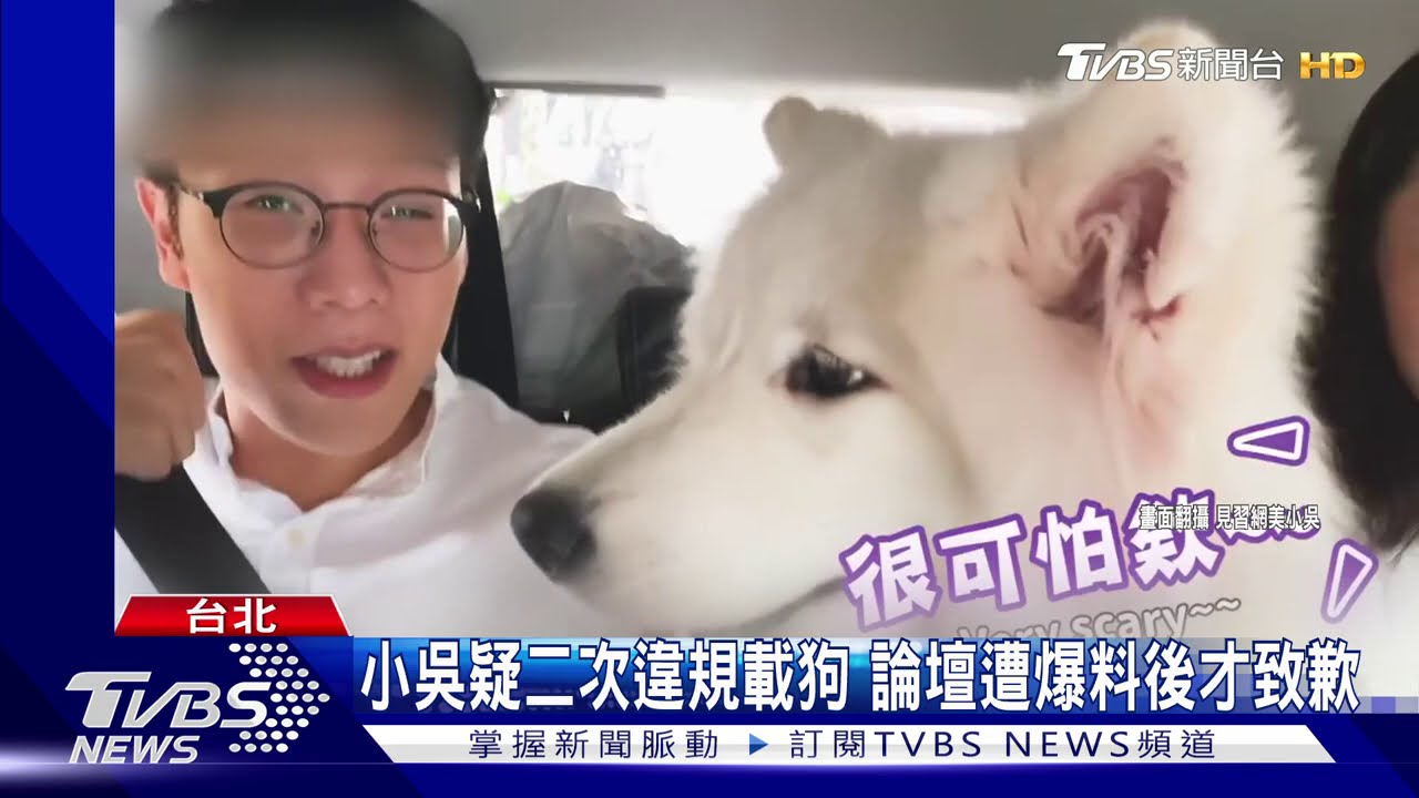 租車載狗出去玩! 網紅小吳挨批錯誤示範