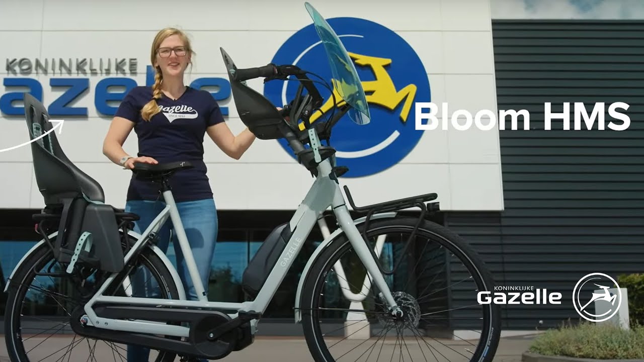 Kennis maken Beleefd rand Gazelle Bloom C380 HMS kopen? | Elektrische moederfiets